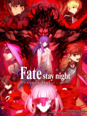 Fate/stay night (heaven's feel) ii. cánh bướm lạc đường